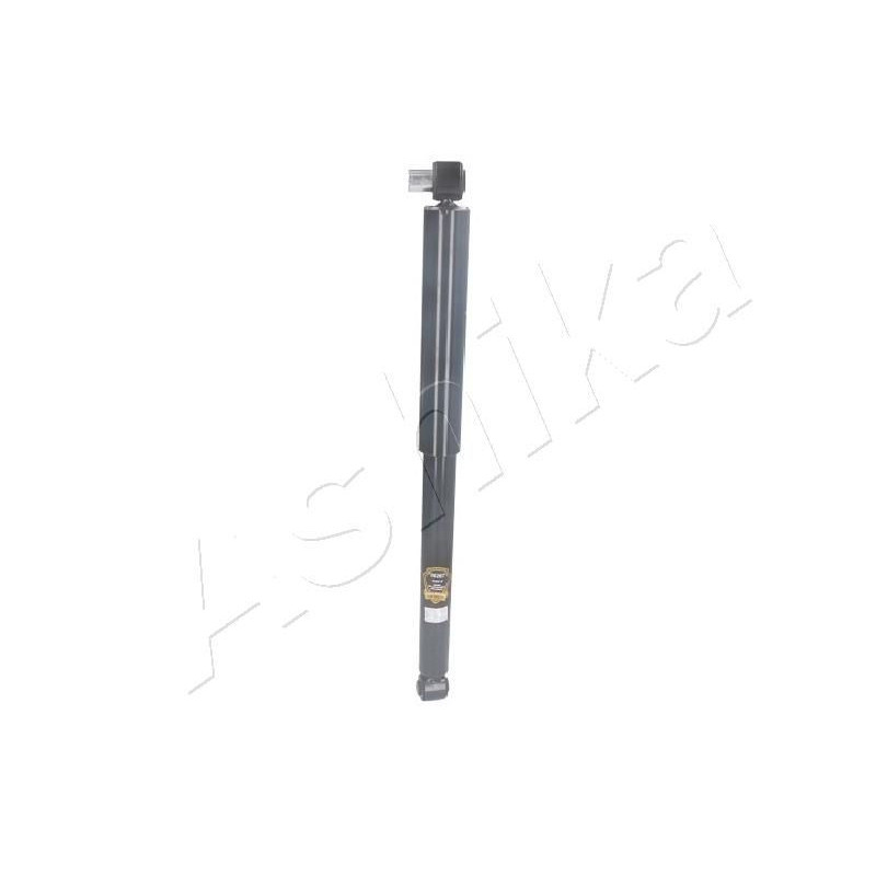 Ashika Ashika Ma-00267