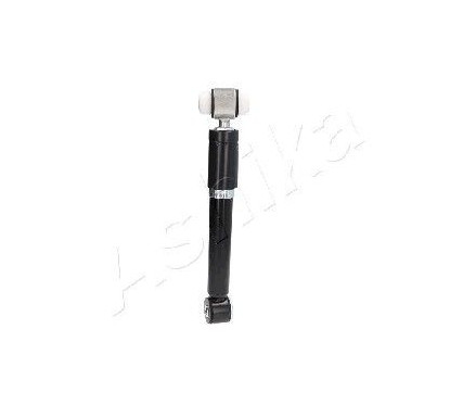 Ashika Ashika Ma-00286