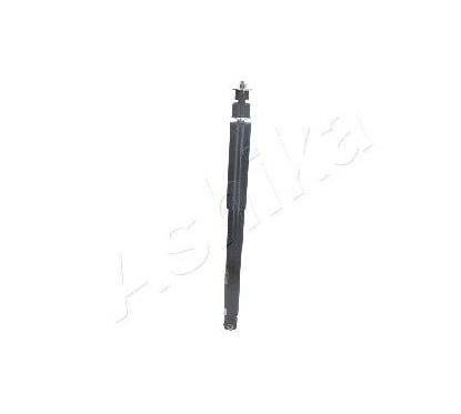 Ashika Ashika Ma-00296