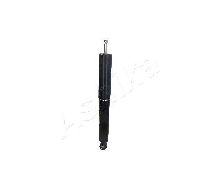 Ashika Ashika Ma-00300
