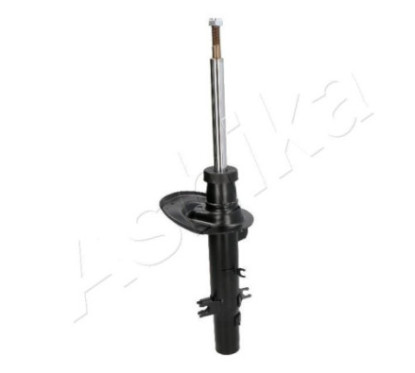 ASHIKA Ammortizzatore MA-00979