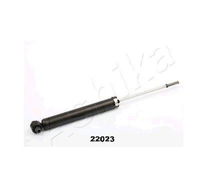 ASHIMA-22023