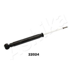 ASHIMA-22024