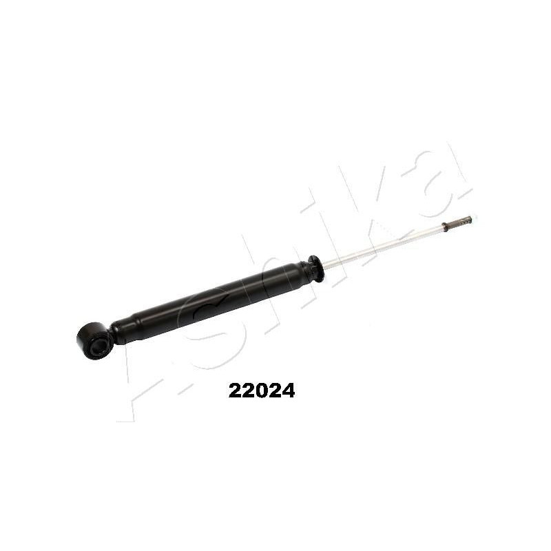 Ashika Ashika Ma-22024