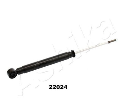ASHIMA-22024