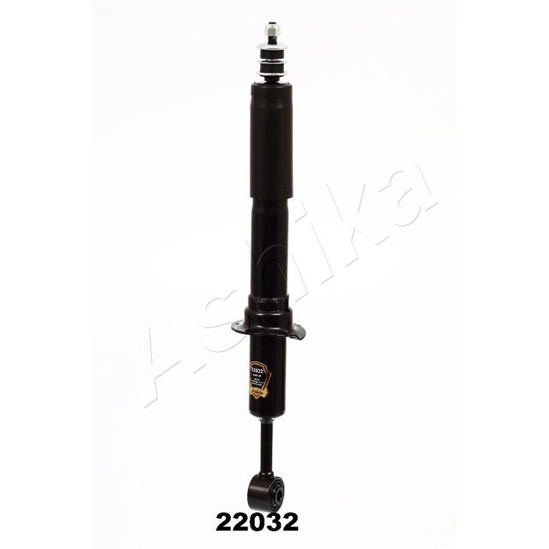 Ashika Ashika Ma-22032