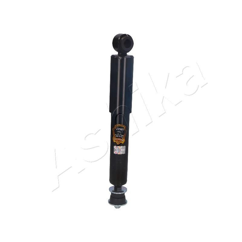 Ashika Ashika Ma-22503