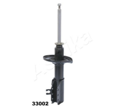 ASHIMA-33002