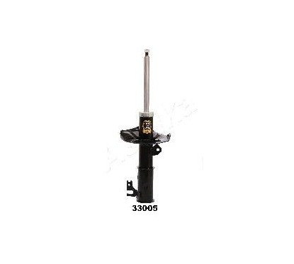ASHIMA-33005
