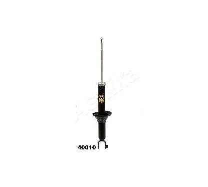 ASHIMA-40010