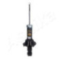 Ashika Ashika Ma-40035