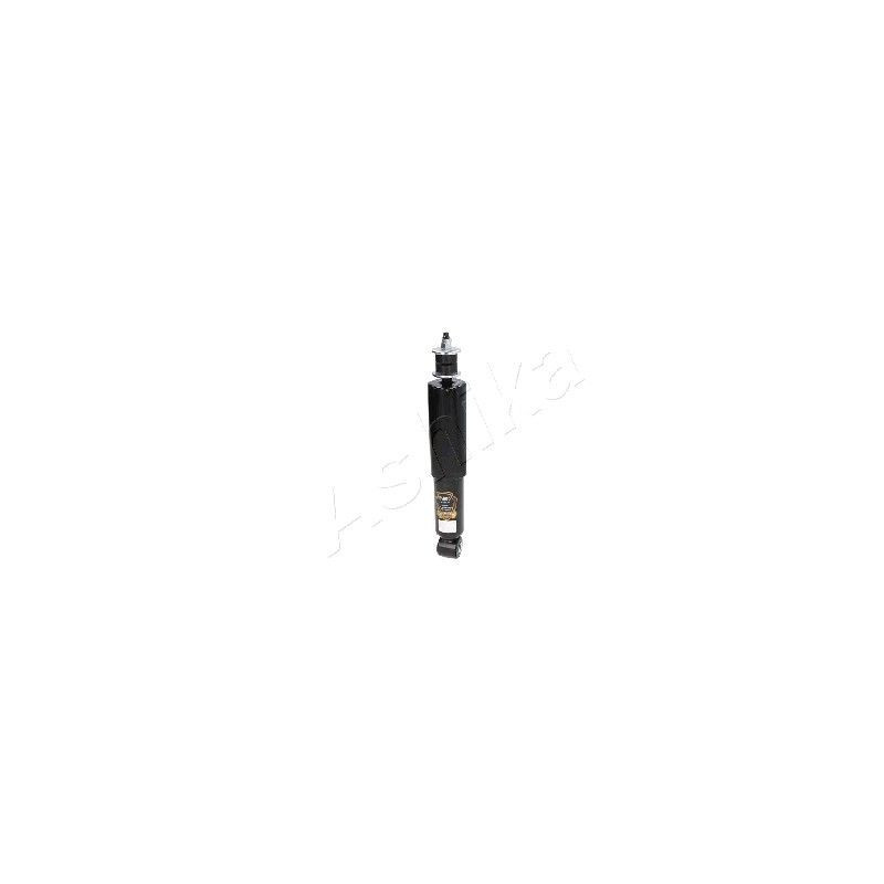 Ashika Ashika Ma-55600