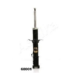 ASHIMA-60001