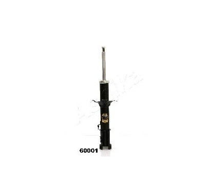 ASHIMA-60001