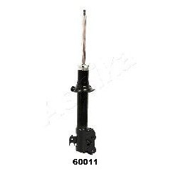 ASHIMA-60011