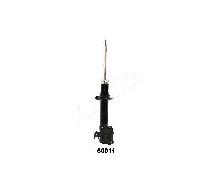 ASHIMA-60011