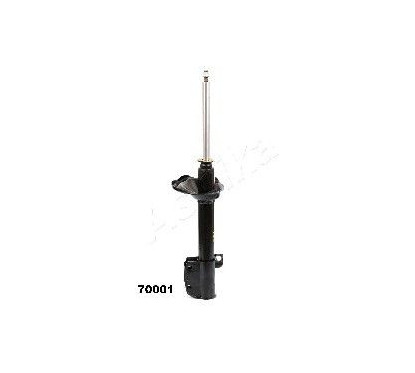 ASHIMA-70001