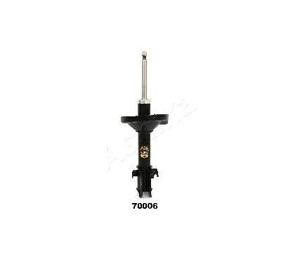 ASHIMA-70006