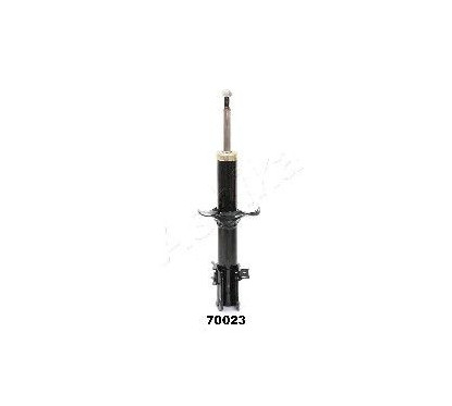 Ashika Ashika Ma-70023