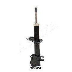 ASHIMA-70024