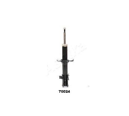 Ashika Ashika Ma-70024