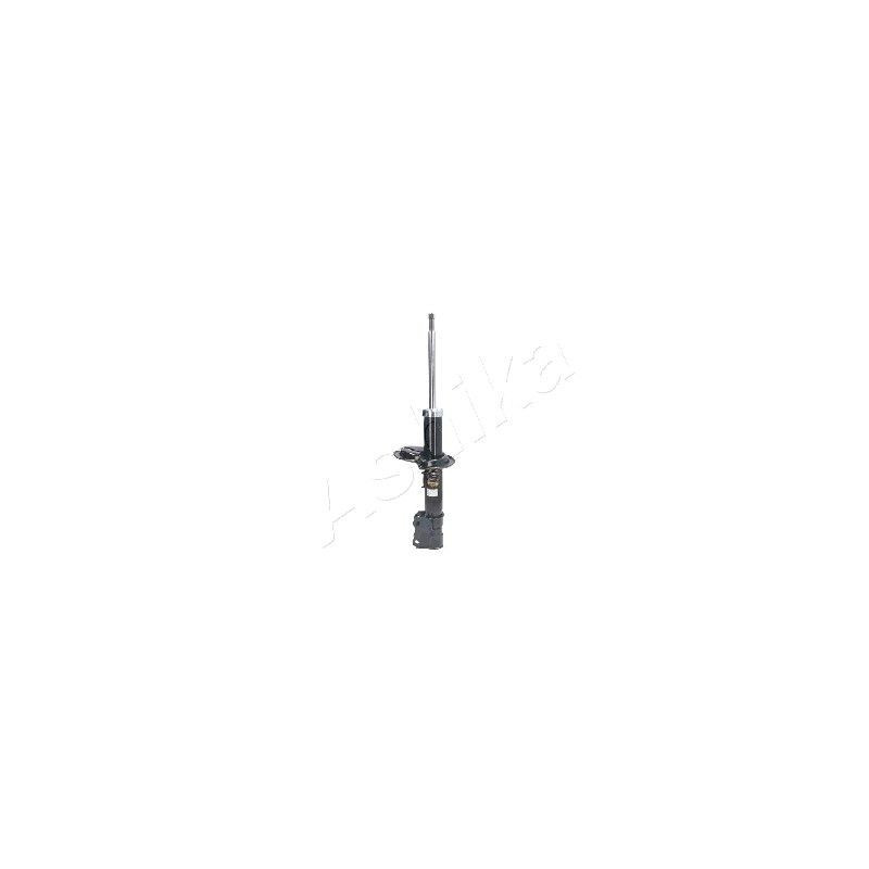 Ashika Ashika Ma-80015