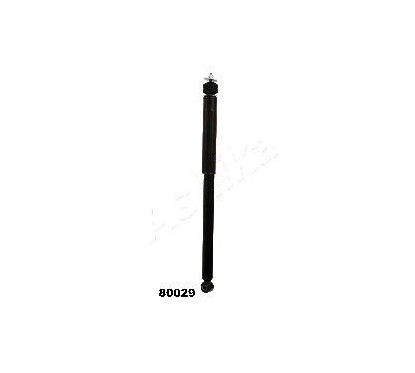 ASHIMA-80029