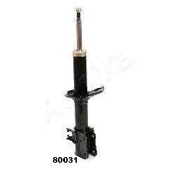 ASHIMA-80031