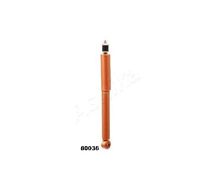 ASHIMA-80036