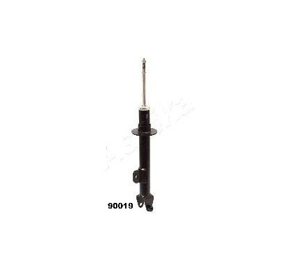 ASHIMA-90019