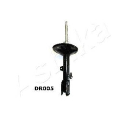 ASHIMA-DR005