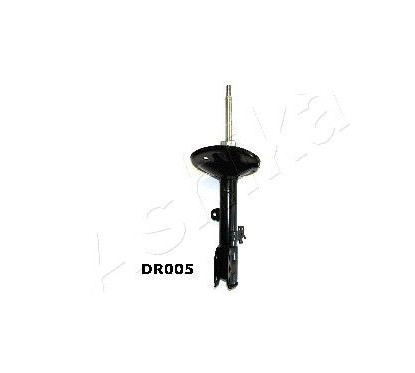 ASHIMA-DR005