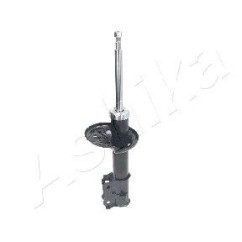 Ashika Ashika Ma-Hy004