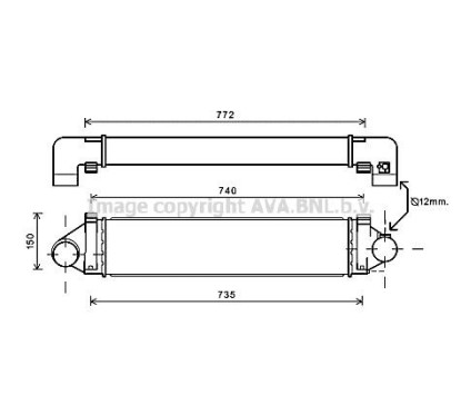 AVAFDA4481