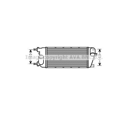 AVAFT4455