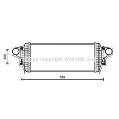 AVAMS4551