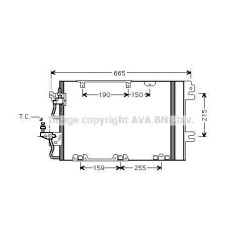 AVAOL5384D