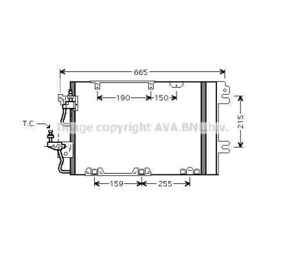 AVAOL5384D