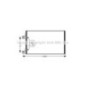 Ava Cond. Renault Kangoo Ii 1.6I 07- Rta5444