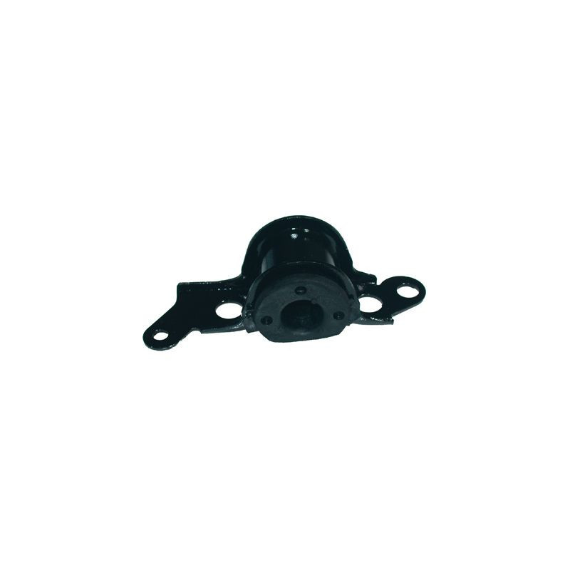 Birth Supporto, Braccio Oscillante 2206