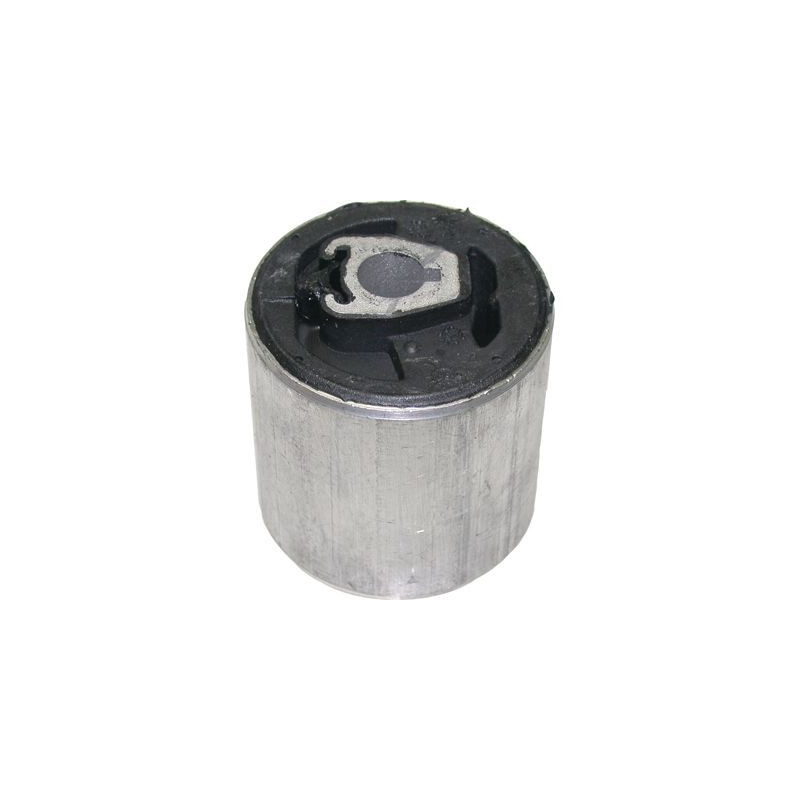 Birth Supporto, Braccio Oscillante 2258