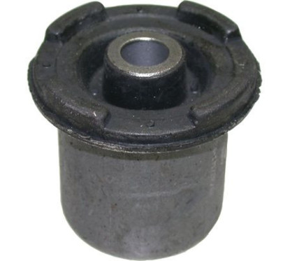 BIRT2509