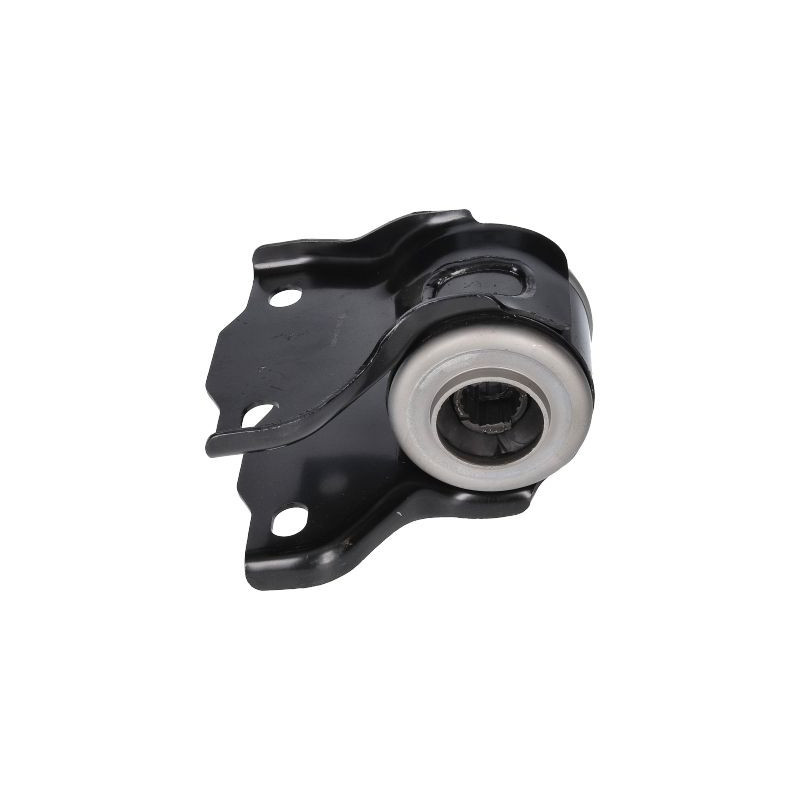 BIRTH Supporto, Braccio oscillante 2790