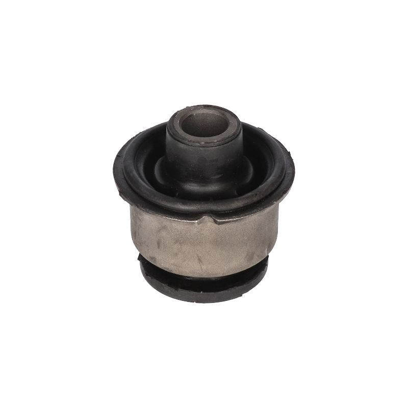 BIRTH Supporto, Braccio oscillante 2800