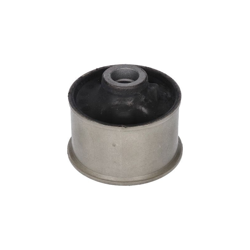BIRTH Supporto, Braccio oscillante 2869