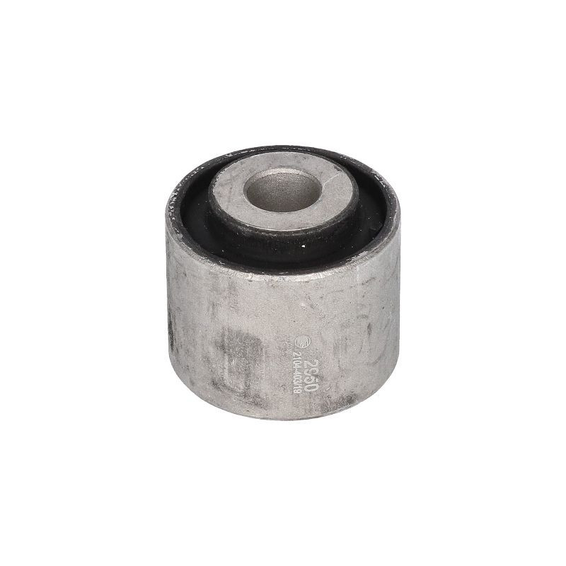 BIRTH Supporto, Braccio oscillante 2950
