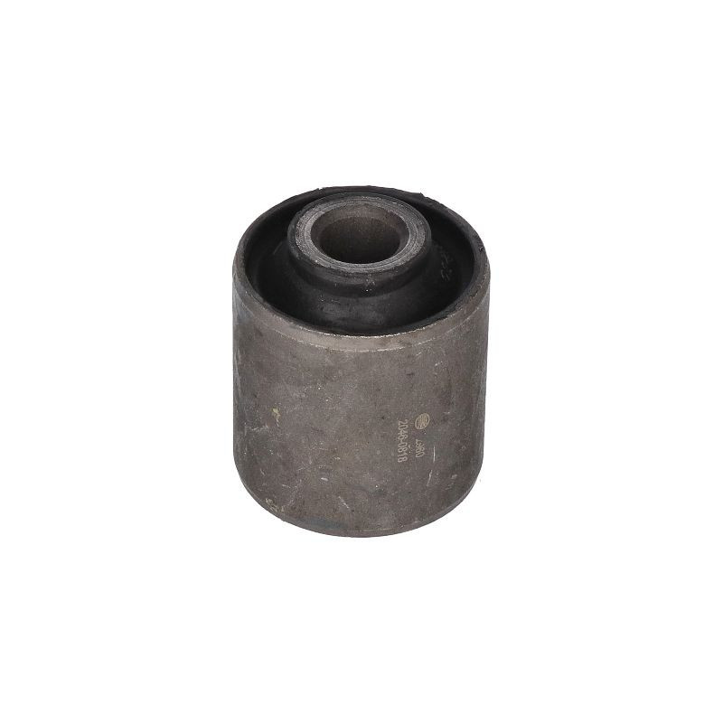 BIRTH Supporto, Braccio oscillante 2960