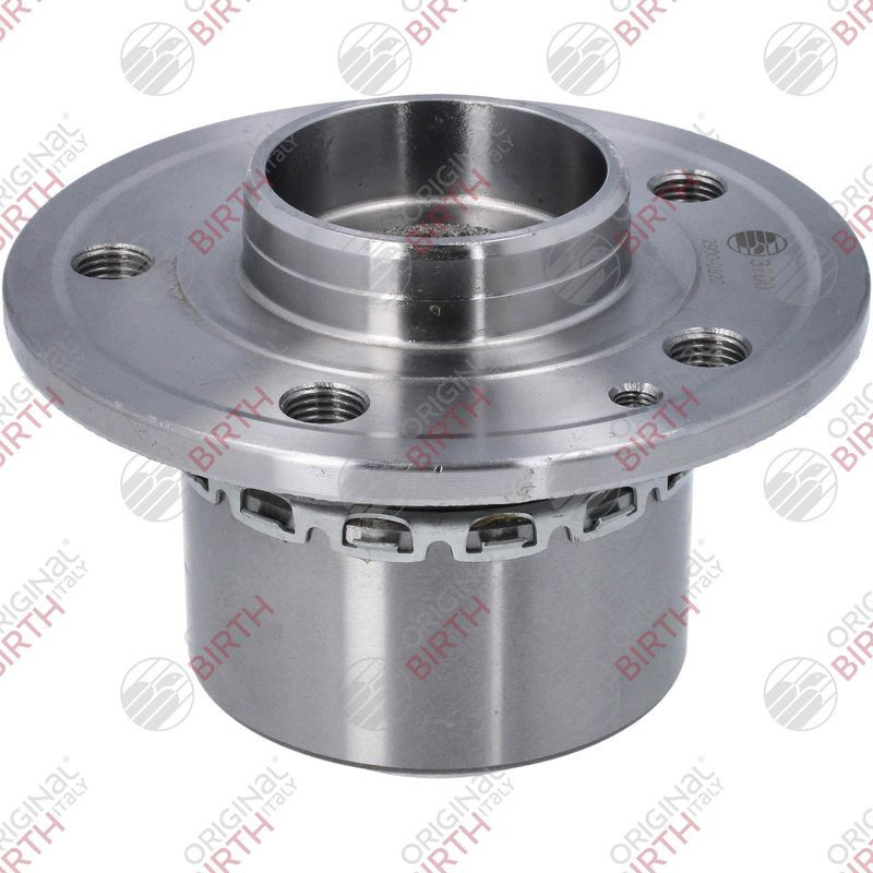 BIRTH Mozzo ruota 3700