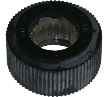 BIRT4509
