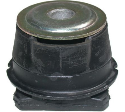 BIRT5702